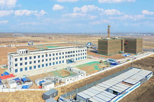 與春同行,共赴新程 2025年長春市一季度項目開工暨北湖未來科學(xué)城項目開工活動側(cè)記